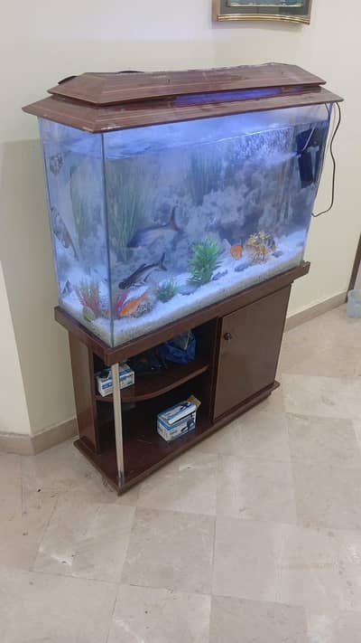 fish eqrim for sale with all aserise