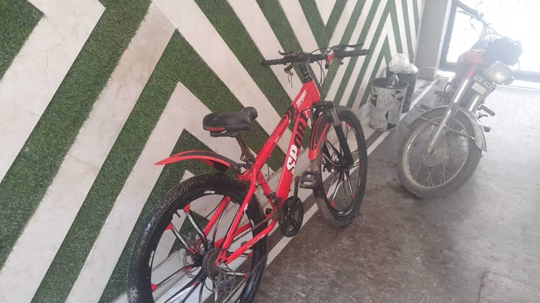 Bi Cycle 1