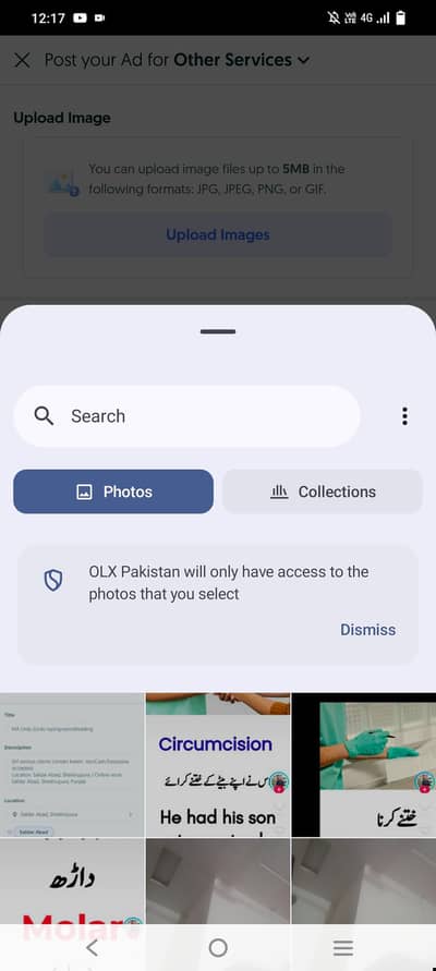 MA Urdu |Urdu typing+proofreading