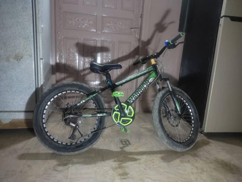 cycle 3