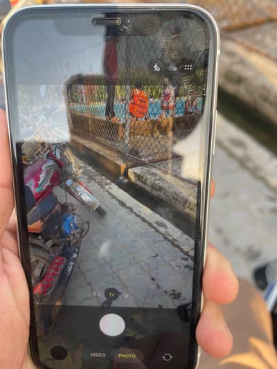 Apple iPhone 11
