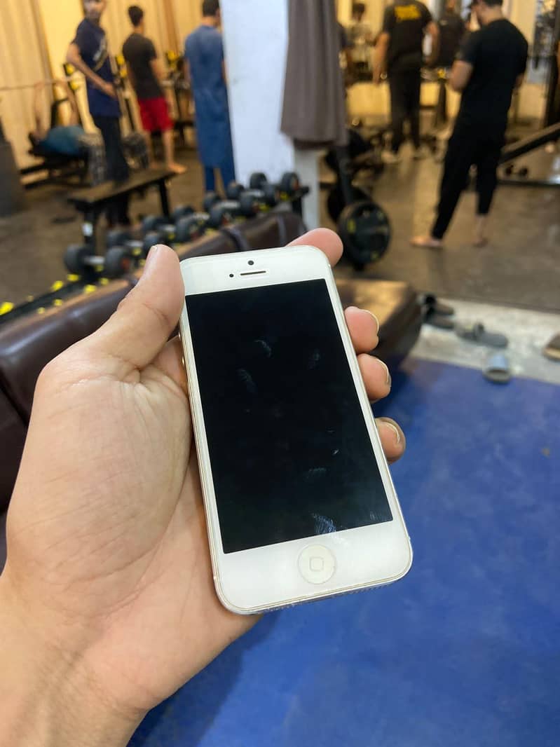IPhone 5 1