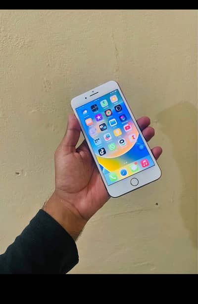 ‎I phone 6s pta approved  My Whatsapp number 0324845367****"eight hai*