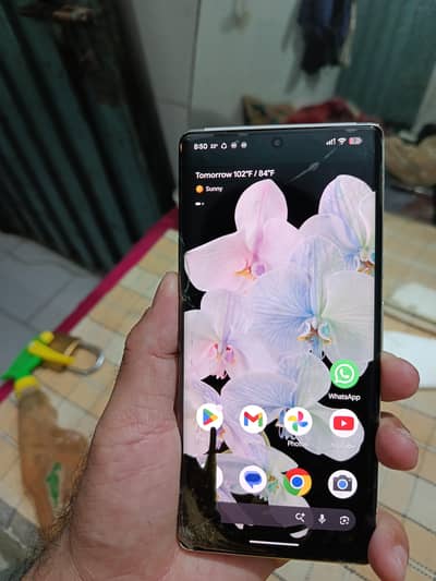 Google pixel 6 Pro