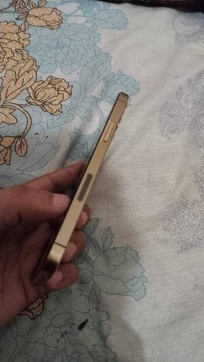 Apple iPhone 12 Pro