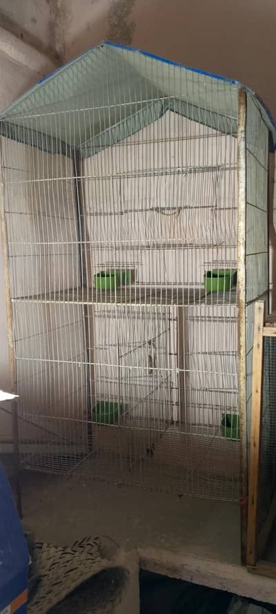 Birds New cage of 2