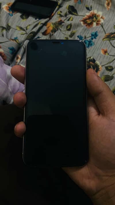 Apple iPhone 11 Proy