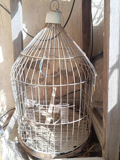 Birds & Hens Cages for Sale!