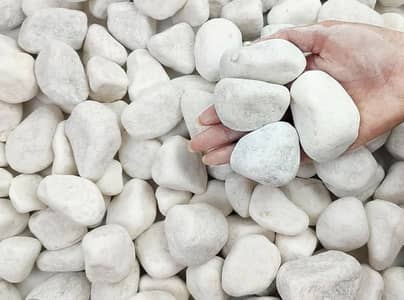White stones/pebbles for plants decoration