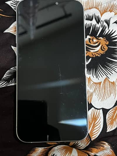 Apple iPhone 12 Pro Max dead