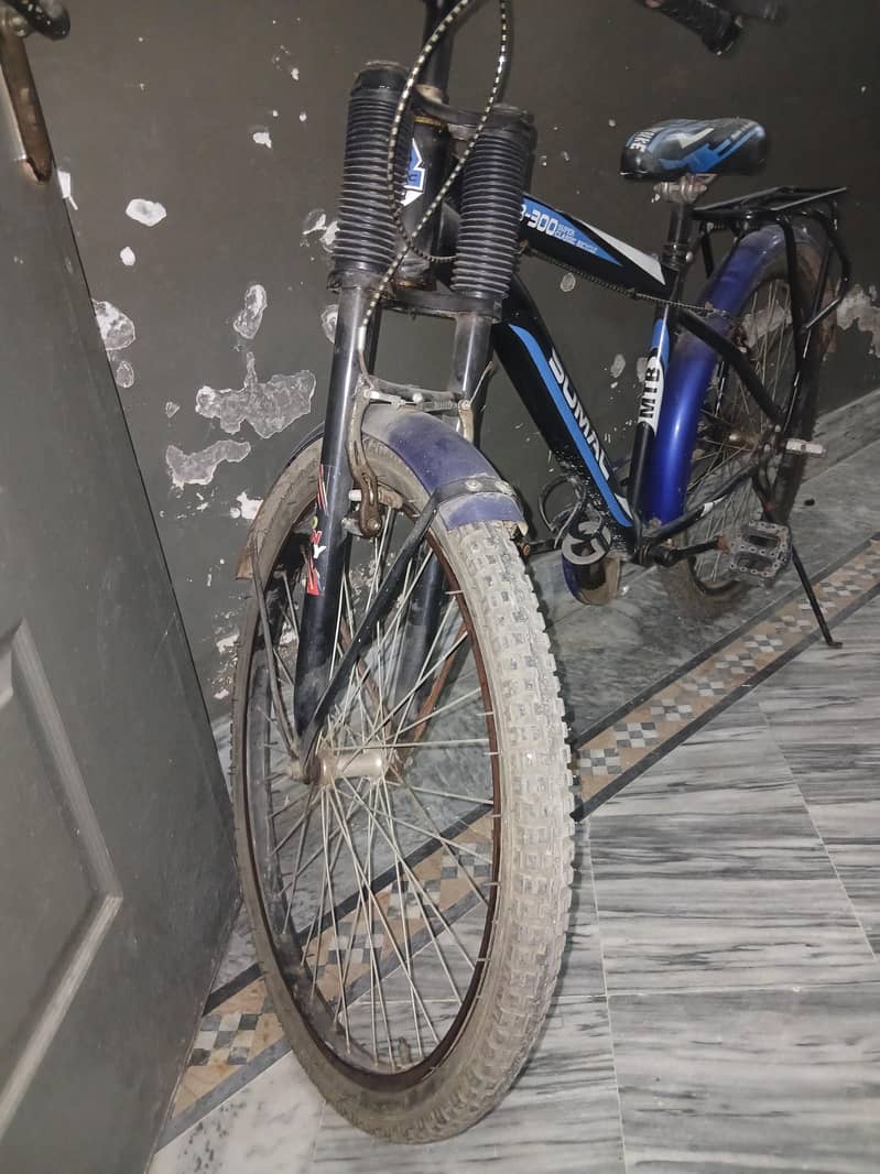 sumac bicycle 1