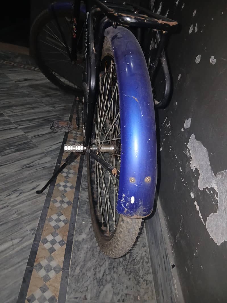 sumac bicycle 2
