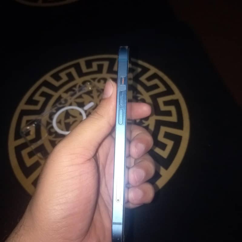 Apple iPhone 13 0