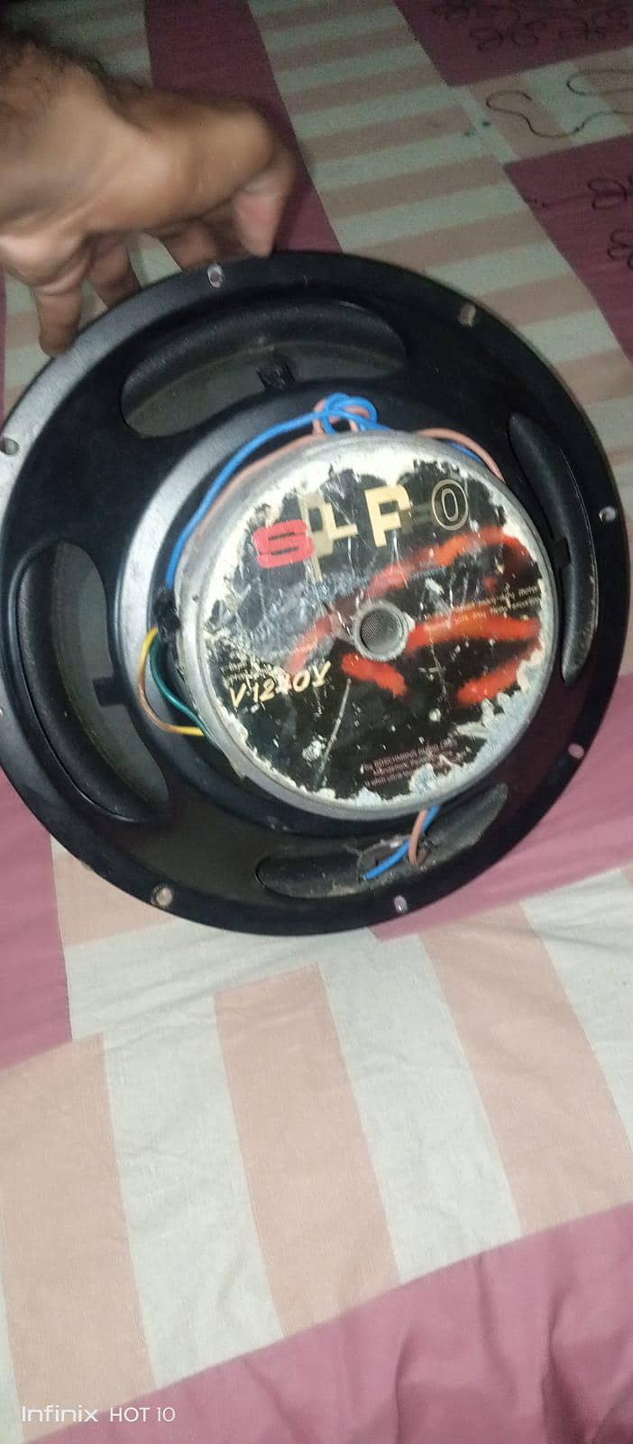 woofer 1
