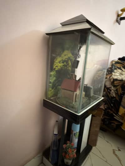Fish Aquarium