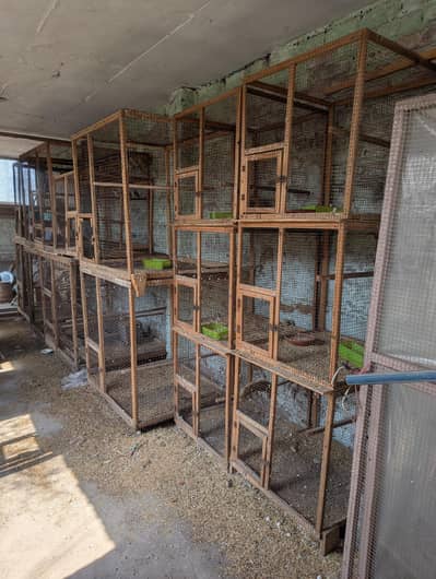 Wooden cages
