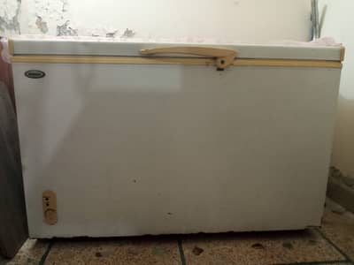 WAVES Single door Deep Freezer for Sale – Excellent Cooling Condition