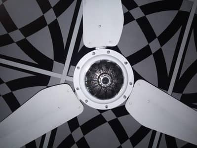 Chanab Fans For Sale