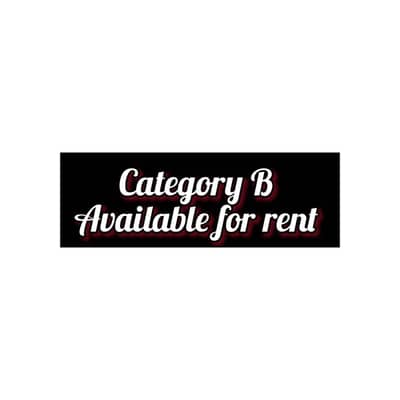 Category B