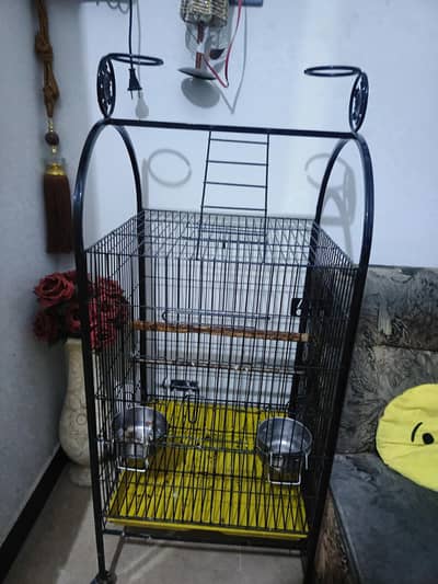 arjant sale penjra rha parrot k Lea leya ta bilkul new ha