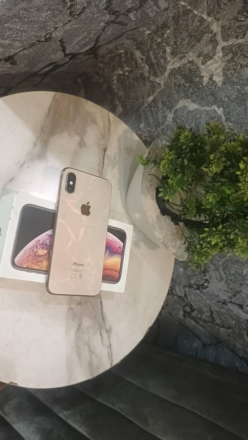 Apple iPhone XS 1