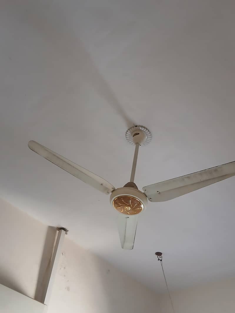 mefco fan 1