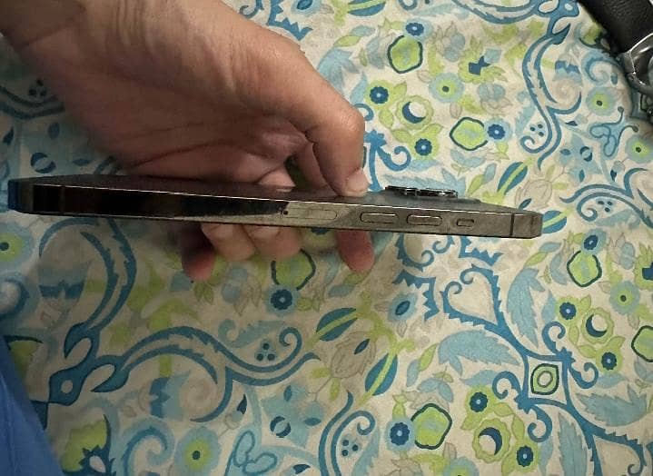 Apple iPhone 13 Pro Max 3