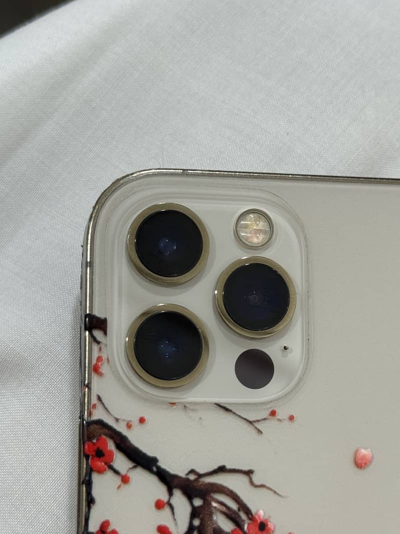 Apple iPhone 12 Pro 4