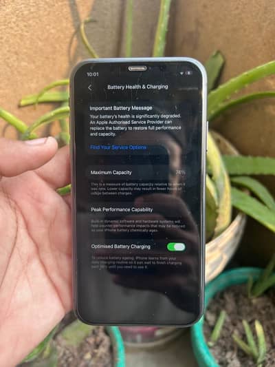 Apple iPhone 11