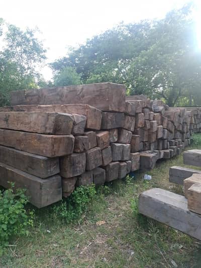 Diyar wood for sale