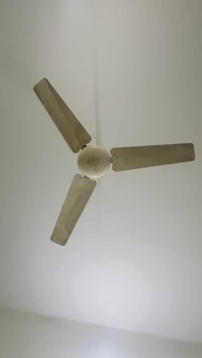 Pak fan