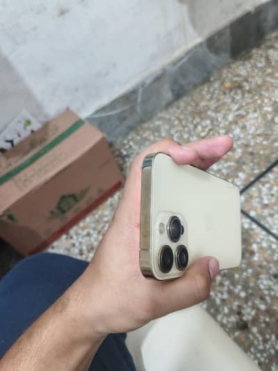 Apple iPhone XR converted to 13 pro