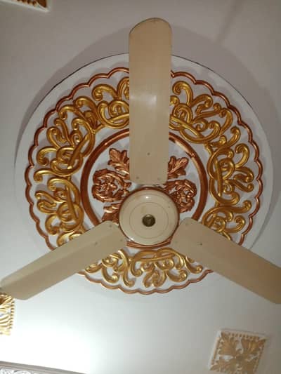 Fan All Working condition