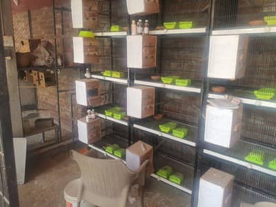 Spot welding 4 portion full and half angle cages