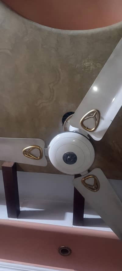 royal ceiling fans