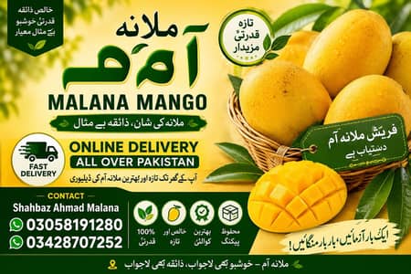 Malana Mango 