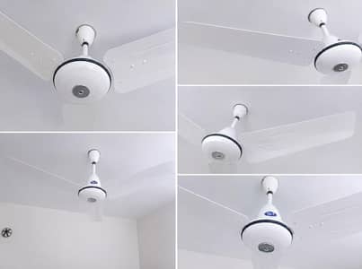 PAK FAN 56 INCH FOR SALE