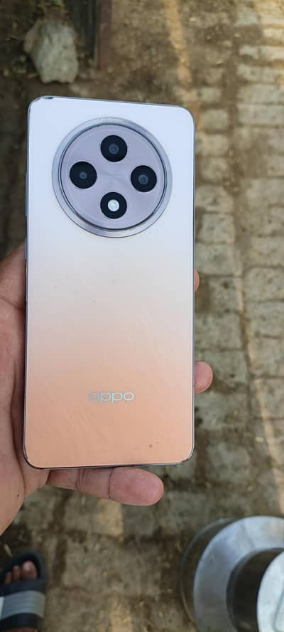 OPPO Reno 12 8.256