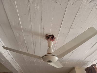 ceiling fan pure coper