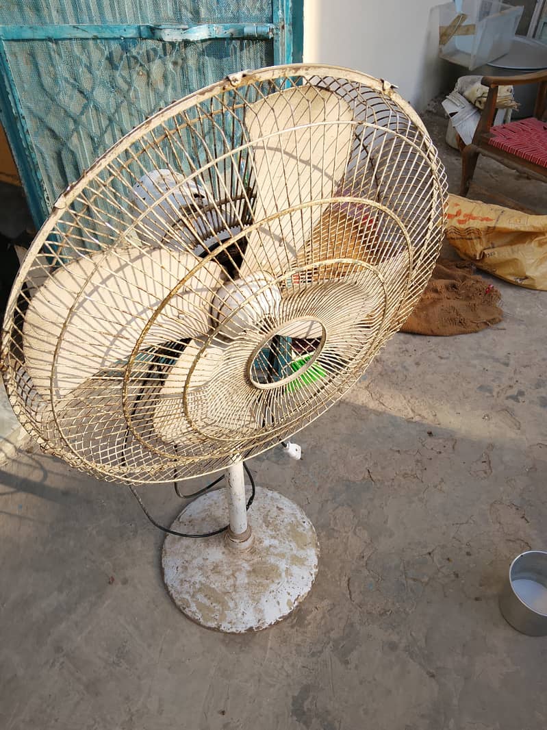 FaFan used Condition 2