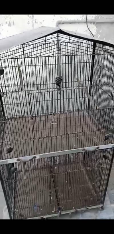 10 no tar ka cage