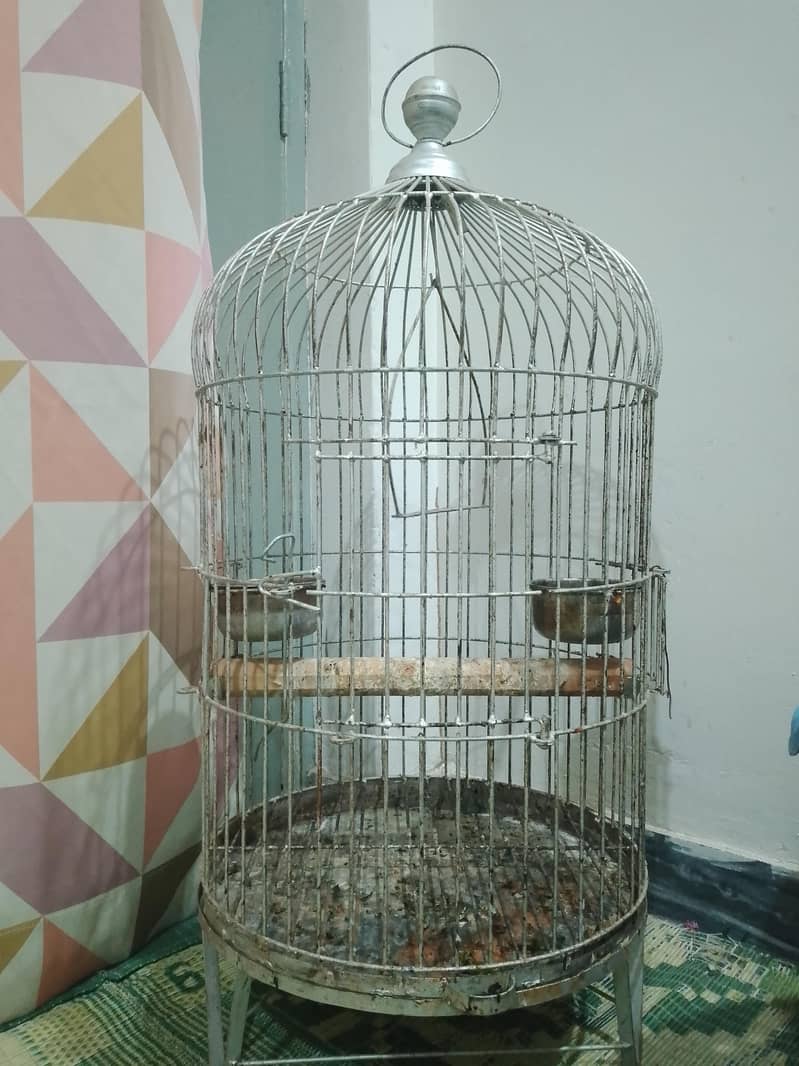 parrot cage 0