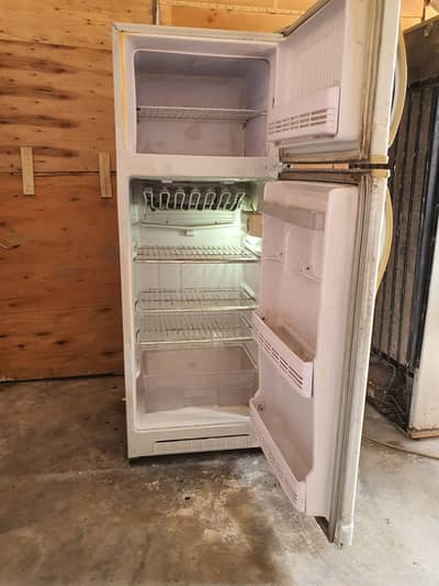 singer fridge