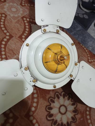 new fan hai bahut kam use 03124119862