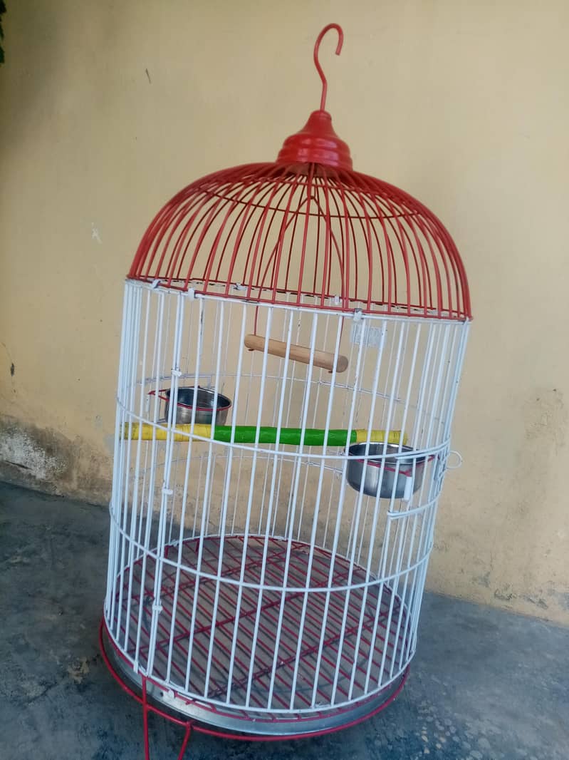 raw cage 0