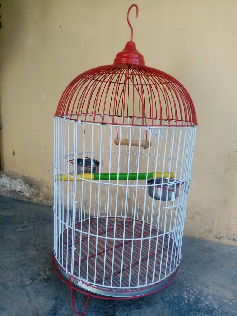 raw cage 1