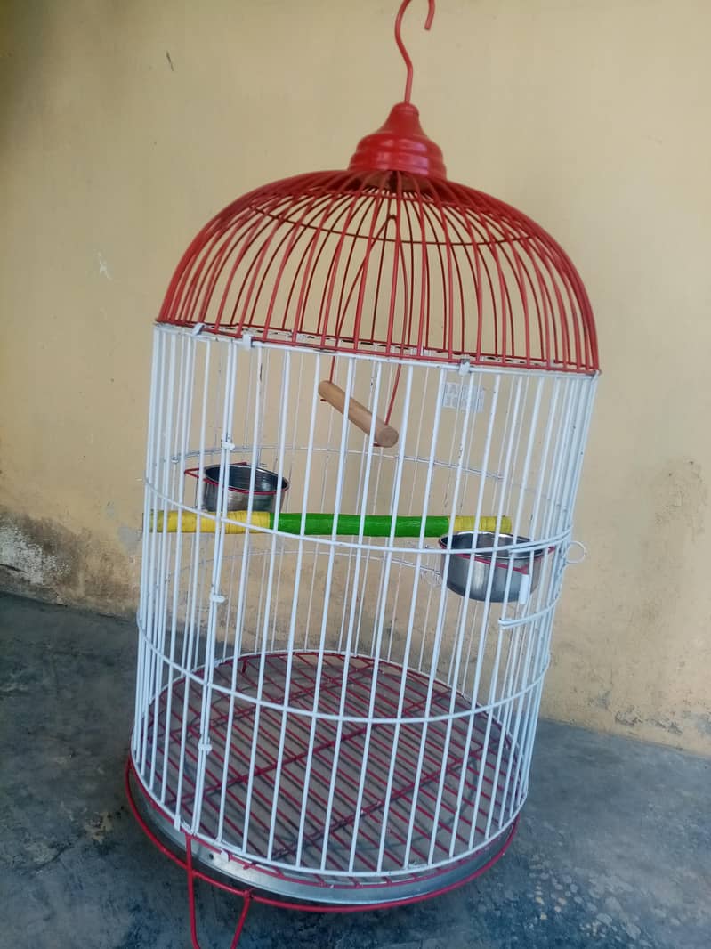 raw cage 2