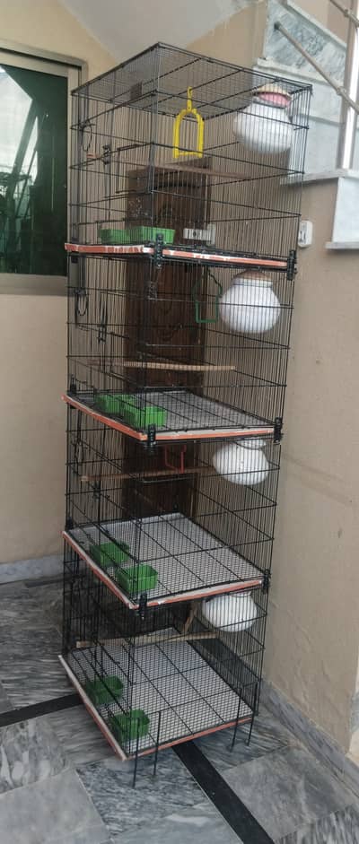 Birds Cage