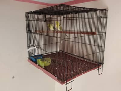 cage (folding)