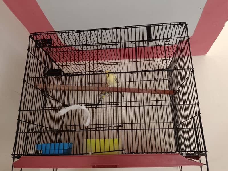 cage (folding) 2